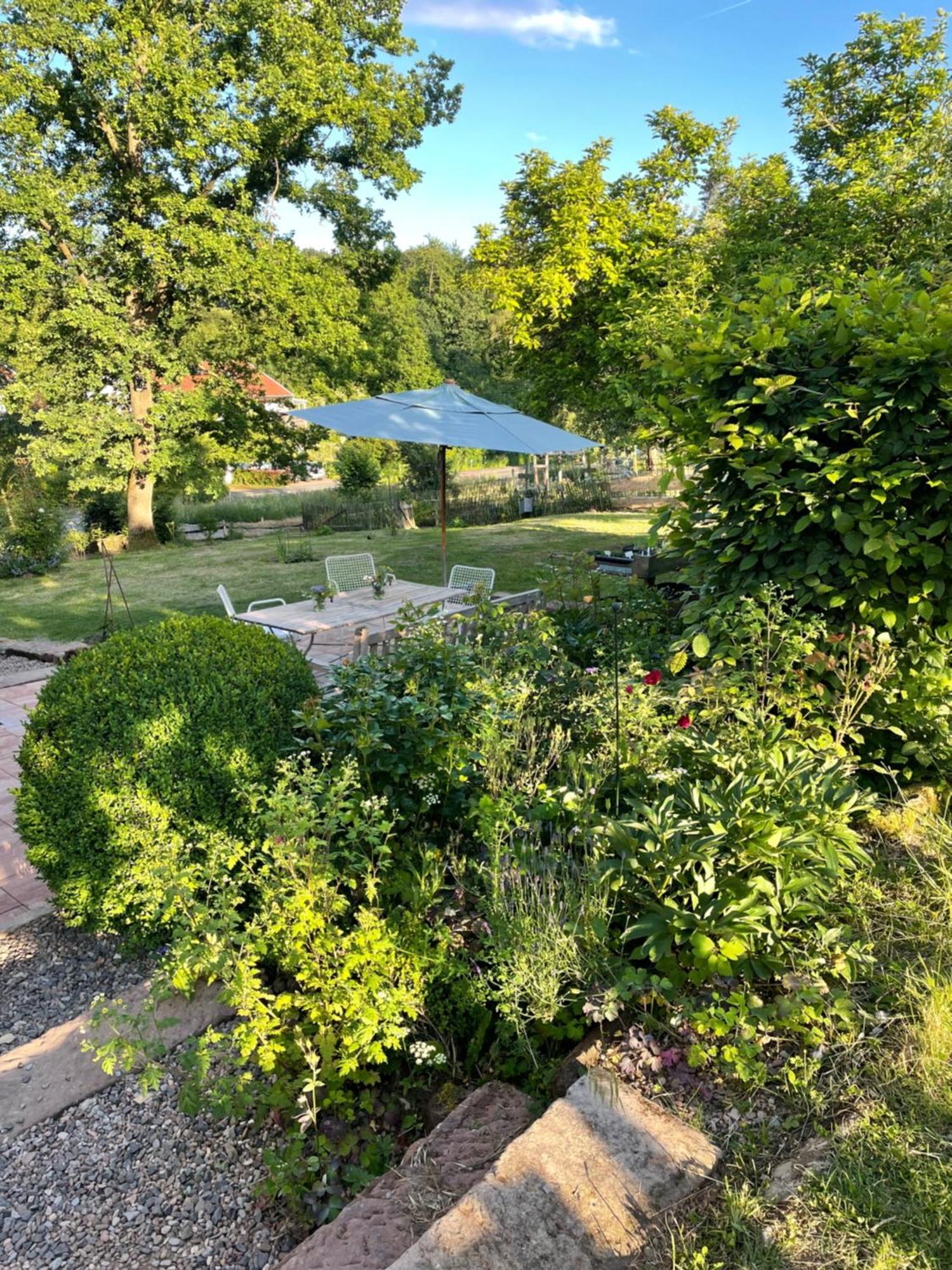 Villa Krafft Bed&Breakfast Waake Dış mekan fotoğraf